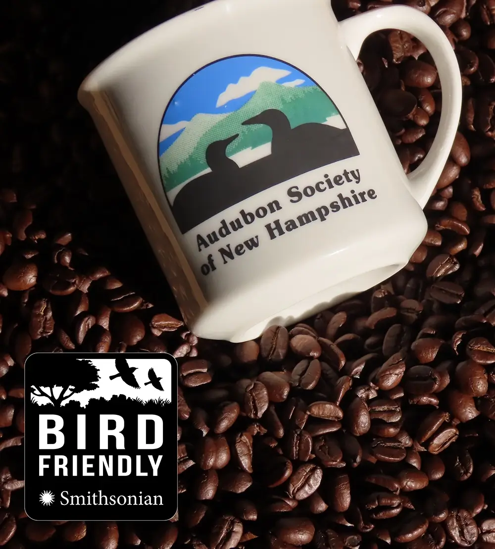 An Audubon Society of New Hampshire coffee mug sitting on top of coffee beans with the Bird Friendly Smithsonian logo on top