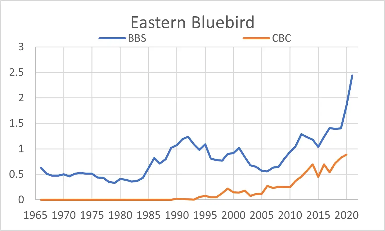 Eastern Bluebird - NH Audubon