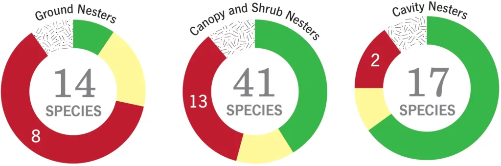 Species population trends in three forest bird nesting categories: those that nest on or near the ground, those that nest in shrubs and tree branches, and those that nest primarily in tree cavities.