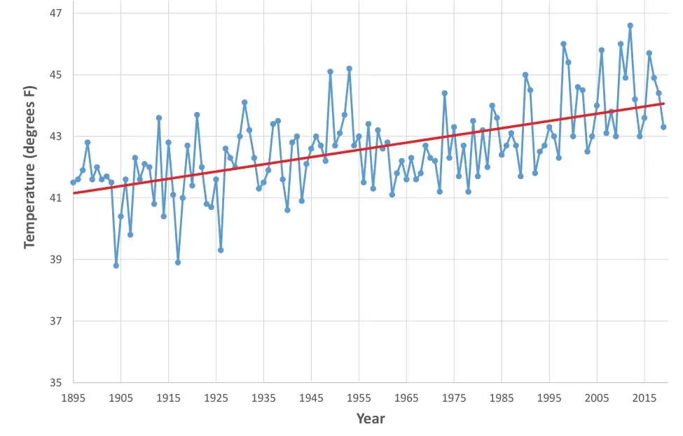Average annual temperature in New Hampshire 1895-2019. Note that temperatures have increased by roughly 3 degrees in 120 years, and could increase by another 5-10 degrees in the next 75 years. Graph based on data from National Oceanic and Atmospheric Administration.