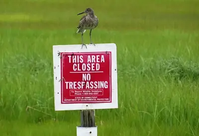 Conserve New Hampshire’s Birds